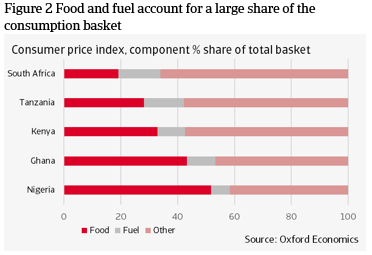 Figure 2 Food and fuel account for a large share of the consumption basket