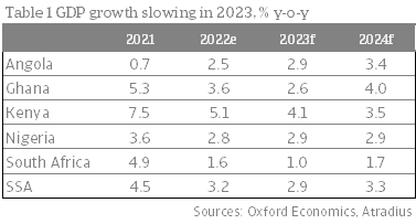 Table 1 GDP growth slowing in 2023