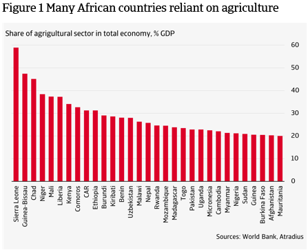 Figure 1 Many African countries reliant on agriculture