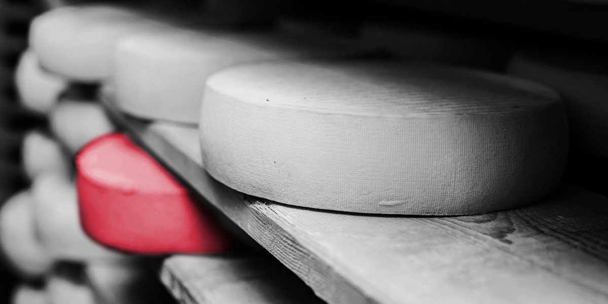 Rounds of cheese stacked on shelves - Lacto Testimonial testimonial | Atradius